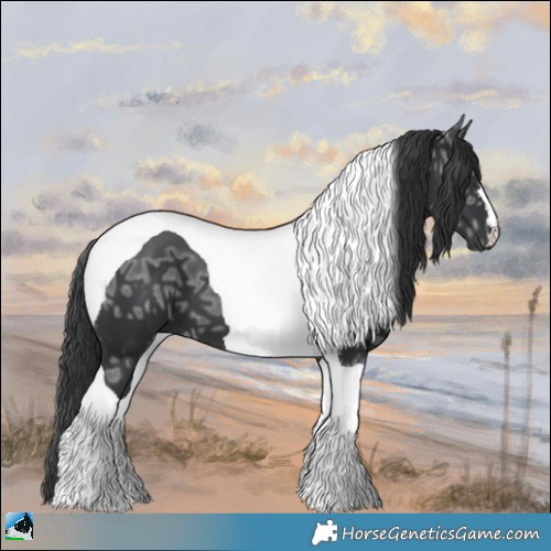 Horse Color:Black Ice Mushroom Tobiano 