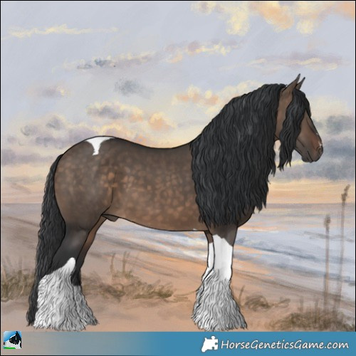 Horse Color:Brown Dun Tobiano 