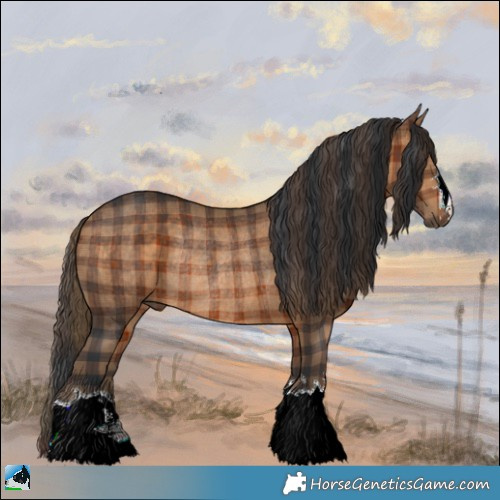Horse Color:Plaid  Brown Rabicano 
