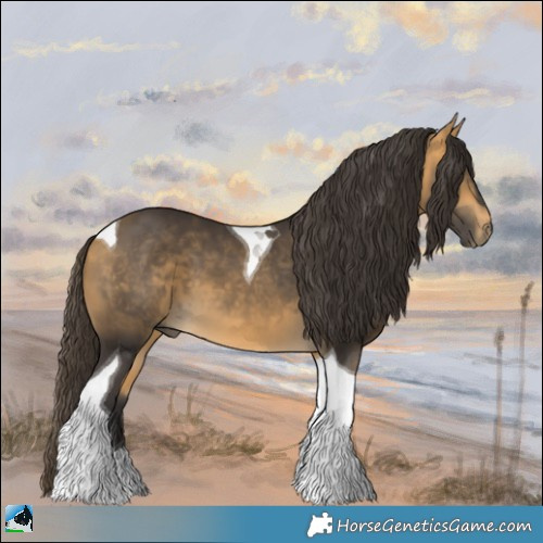 Horse Color:Buckskin Mushroom Tobiano 