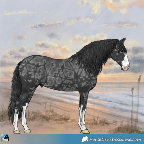 Horse Color:Black Ice Mushroom 