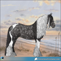 Horse Color:Smoky Black Ice Mushroom Tobiano Rabicano
