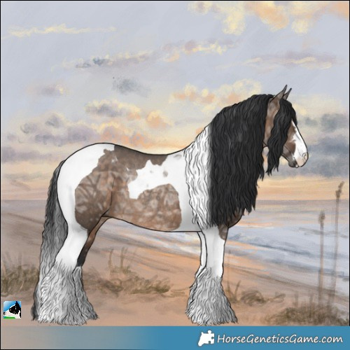 Horse Color:Brown Ice Dun Tobiano Rabicano 