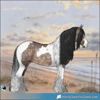 Horse Color:Brown Ice Dun Tobiano Rabicano