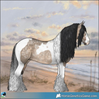 Horse Color:Brown Ice Dun Tobiano Rabicano 