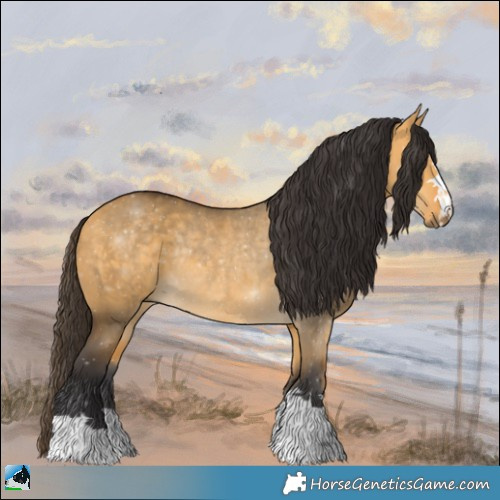 Horse Color:Buckskin Dun Rabicano 