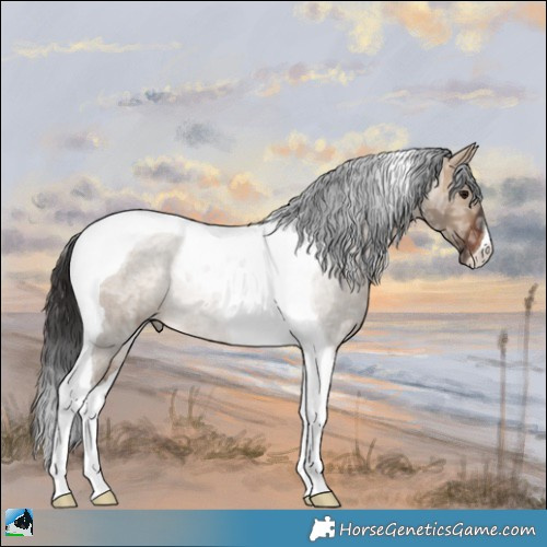 Horse Color:Brown Ice Dun Tobiano Rabicano 