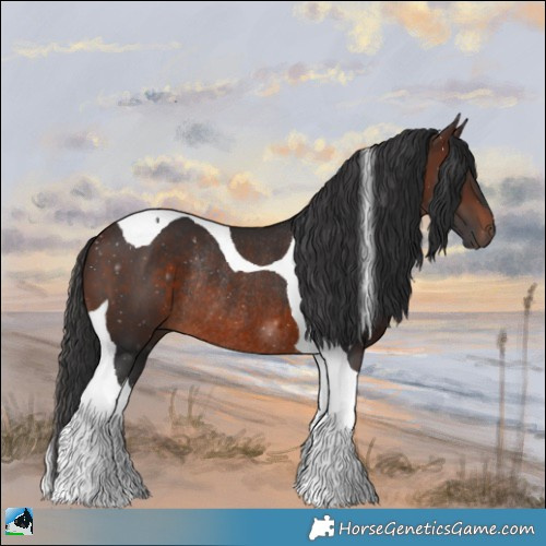 Horse Color:Brown Mushroom Tobiano Rabicano 
