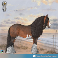 Horse Color:Bay Mushroom 