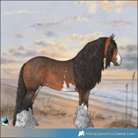 Horse Color:Bay Mushroom 
