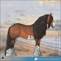 Horse Color:Bay Mushroom 