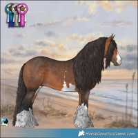 Horse Color:Bay Mushroom