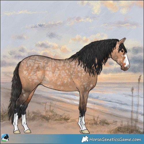 Horse Color:Bay Ice Dun Rabicano 