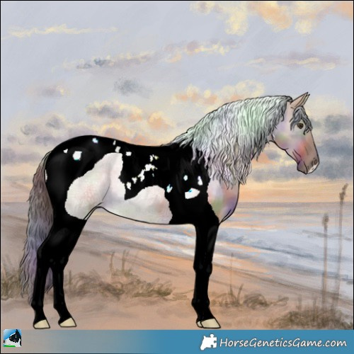 Horse Color:Nacre Liver Red Dun Ice Tobiano 