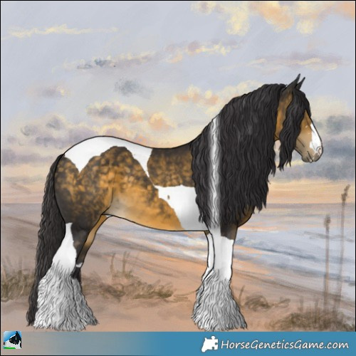 Horse Color:Buckskin Tobiano 