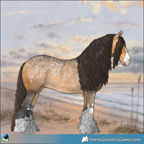 Horse Color:Buckskin Ice Rabicano 