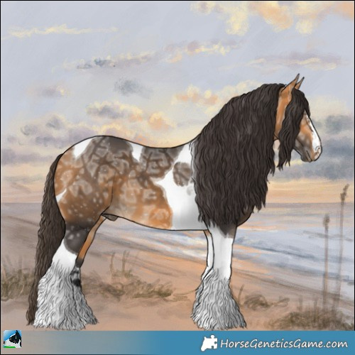 Horse Color:Buckskin Ice Tobiano 