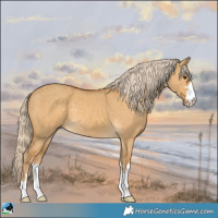Horse Color:Palomino Dun 