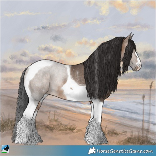 Horse Color:Brown Dun Tobiano Rabicano 