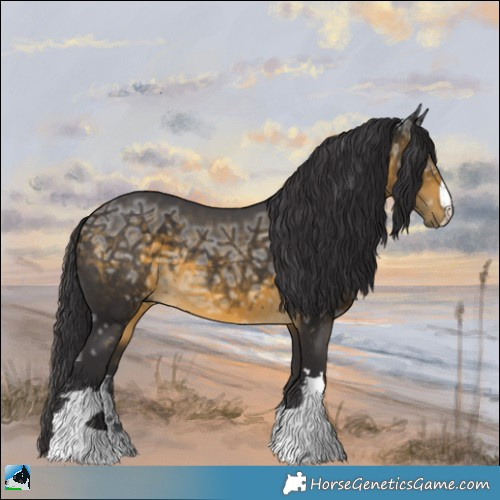 Horse Color:Buckskin Ice Rabicano 