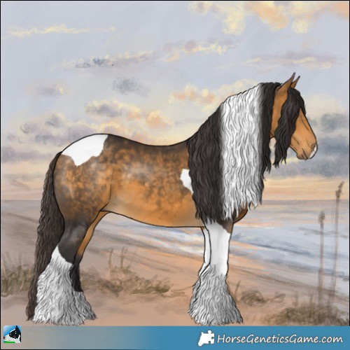 Horse Color:Buckskin Tobiano 