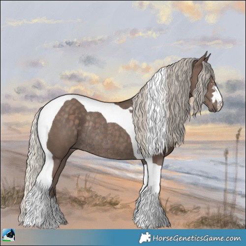 Horse Color:Silver Black Tobiano Rabicano 