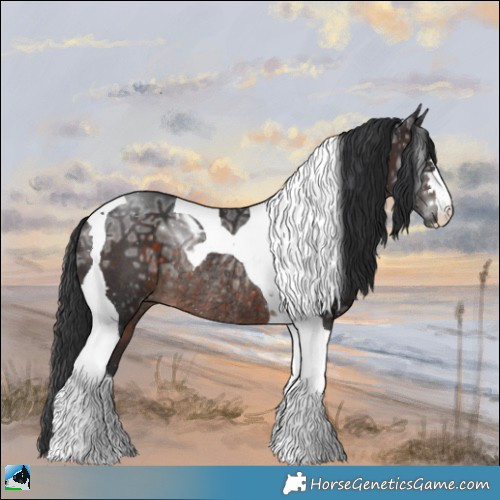 Horse Color:Brown Ice Tobiano Rabicano 