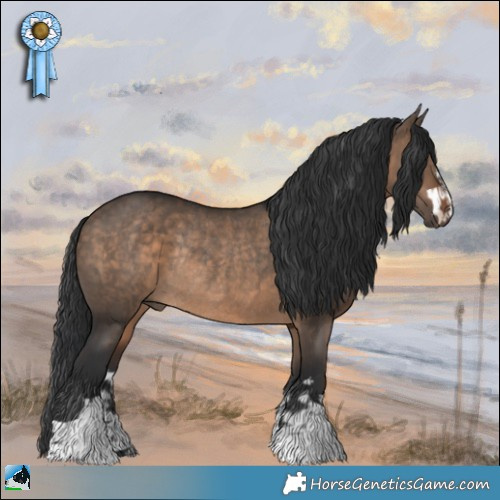 Horse Color:Brown Dun Rabicano 