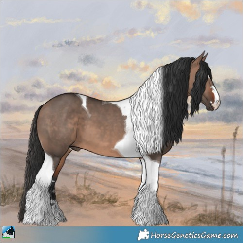 Horse Color:Brown Dun Mushroom Tobiano 