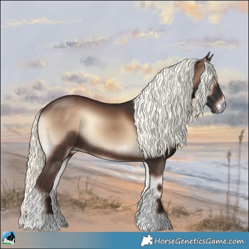 Horse Color:Liver Red Onyx Mushroom Rabicano 