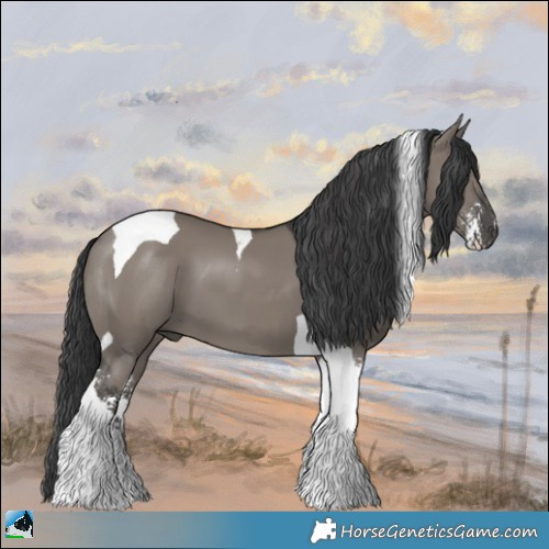 Horse Color:Grullo Sabino Tobiano 