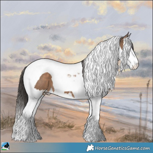 Horse Color:Liver Red Dun Sabino Splash Tobiano 