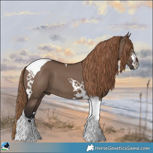Horse Color:Liver Red Dun Tobiano 