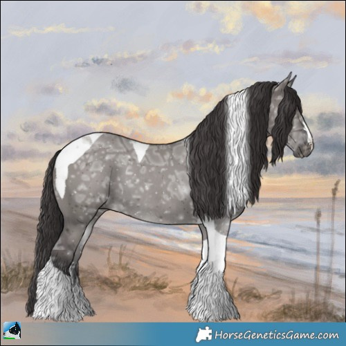 Horse Color:Smoky Grullo Ice Tobiano Rabicano 
