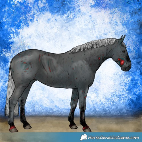 Horse Color:ERROR: UNKNOWN ANOMALY