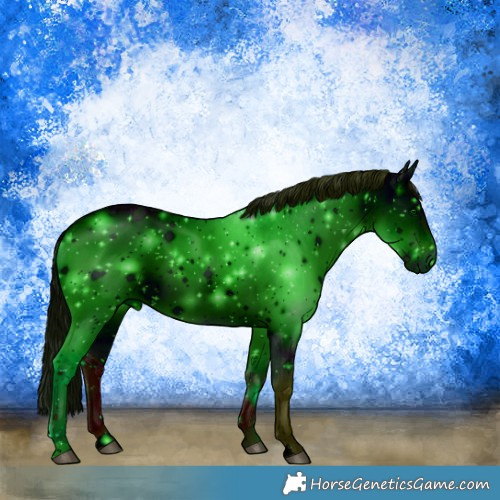 Horse Color:ERROR: UNKNOWN ANOMALY