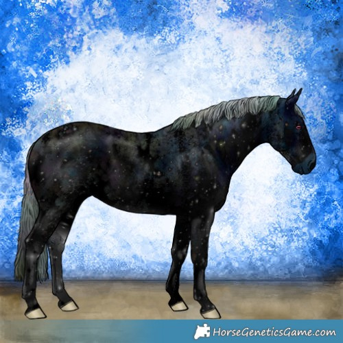 Horse Color:ERROR: UNKNOWN ANOMALY