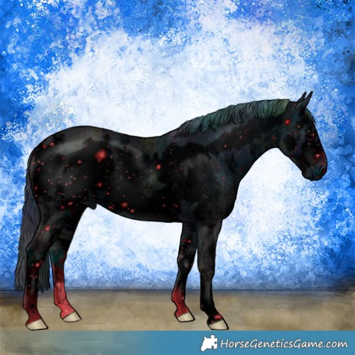 Horse Color:ERROR: UNKNOWN ANOMALY