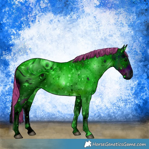 Horse Color:ERROR: UNKNOWN ANOMALY