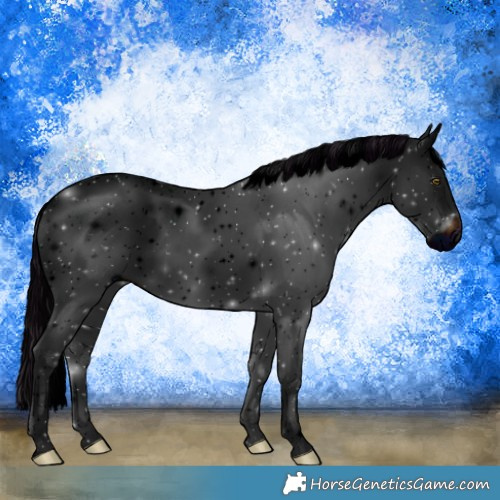 Horse Color:ERROR: UNKNOWN ANOMALY