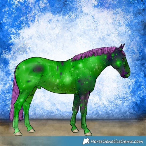 Horse Color:ERROR: UNKNOWN ANOMALY