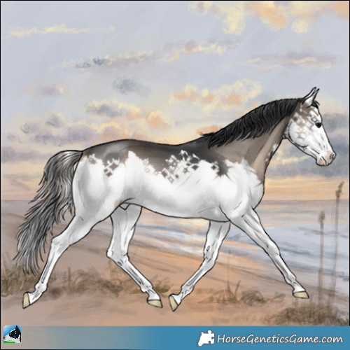 Horse Color:Blue Onyx Mushroom Splash 