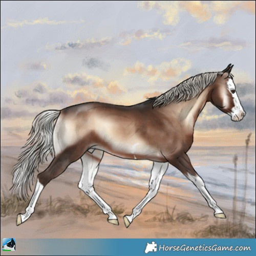 Horse Color:Liver Red Onyx Mushroom Splash 