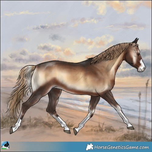 Horse Color:Liver Red Onyx 