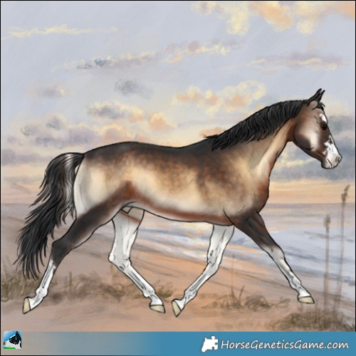 Horse Color:Brown Onyx 