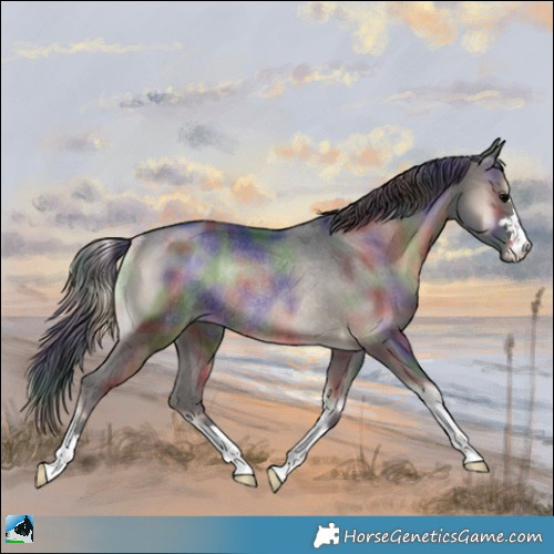 Horse Color:Nacre Blue Onyx Rabicano 
