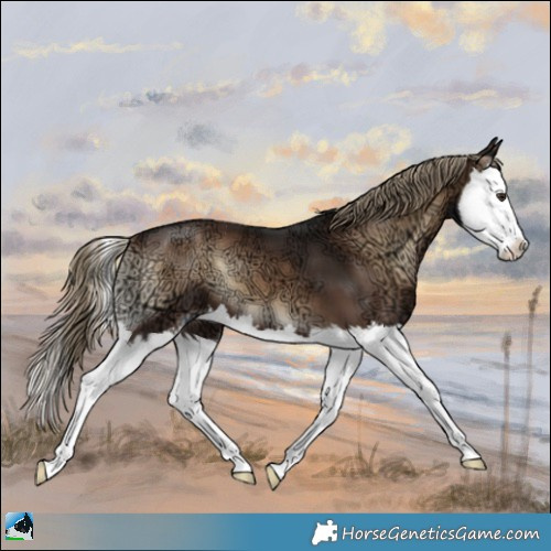 Horse Color:Liver Red Onyx Ice Splash 