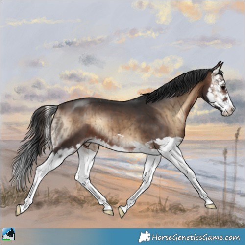 Horse Color:Brown Onyx Splash Brindle 