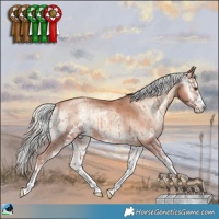 Horse Color:Gold Champagne Onyx Mushroom Sabino 