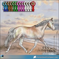 Horse Color:Gold Champagne Onyx Mushroom Sabino